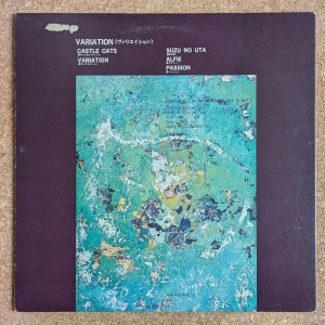 画像2: Hiroshi Suzuki / Masahiko Togashi - Variation