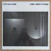 画像1: Steve Grossman - Some Shapes To Come (1)