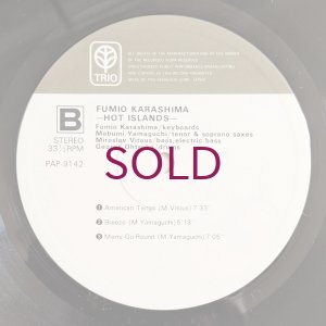 画像4: Fumio Karashima - Hot Islands