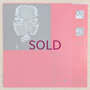 画像2: Chico Freeman - The Search