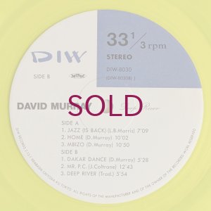 画像4: David Murray - Deep River