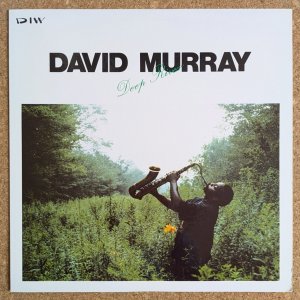 画像1: David Murray - Deep River