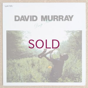画像1: David Murray - Deep River