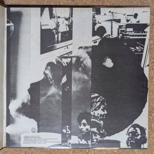 画像4: Albert Ayler - New Grass