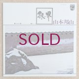 Hozan Yamamoto - 銀界