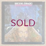 Bennie Maupin - Moonscapes