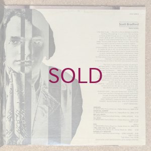 画像4: Scott Bradford - Rock Slides