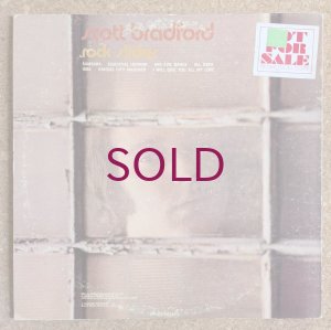 画像2: Scott Bradford - Rock Slides