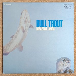 画像1: Akira Miyazawa - いわな／宮沢昭の世界