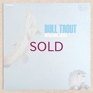 画像1: Akira Miyazawa - いわな／宮沢昭の世界