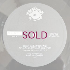 画像4: Shoji Aketagawa - 野尻の黄昏