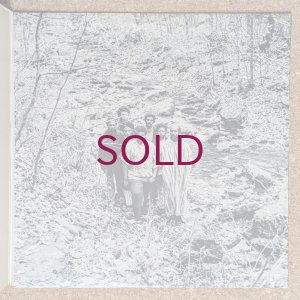 画像4: Brute Force - Brute Force