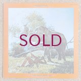 Hugh Masekela - I Am Not Afraid