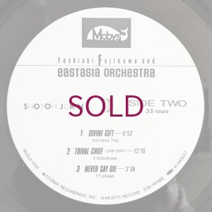 画像4: Yoshiaki Fujikawa & Eastasia Orchestra - 照葉樹林