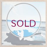 Yoshisaburo Toyozumi - 藻