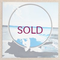 Yoshisaburo Toyozumi - 藻