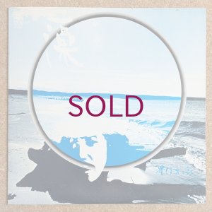 画像1: Yoshisaburo Toyozumi - 藻