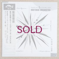 Yoshiaki Fujikawa & Eastasia Orchestra - 照葉樹林