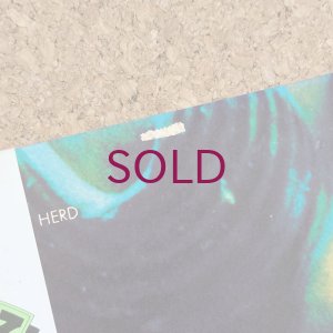 画像3: Toshiyuki Miyama & His New Herd - 仁王と鳩