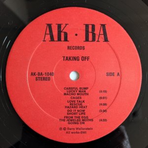 画像3: Barry Wallenstein - Taking Off 