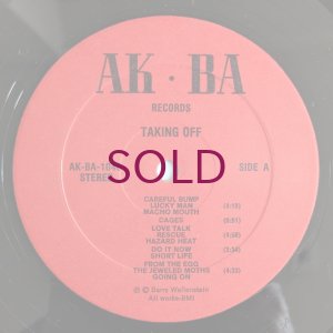 画像3: Barry Wallenstein - Taking Off 