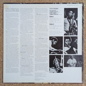 画像2: Chico Freeman - Beyond The Rain