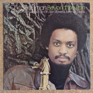 画像1: Chico Freeman - Beyond The Rain