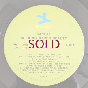 画像3: Bayete Umbra Zindiko - Seeking Other Beauty