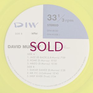 画像4: David Murray - Deep River
