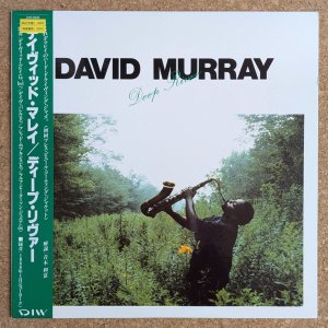 画像1: David Murray - Deep River