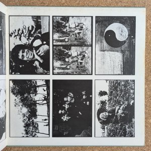 画像6: Terumasa Hino - Love Nature