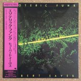 Hubert Eaves - Esoteric Funk