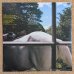 画像2: Isao Suzuki & New Family - The Thing (2)