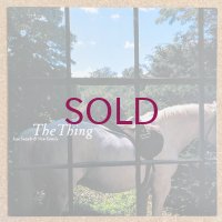 Isao Suzuki & New Family - The Thing