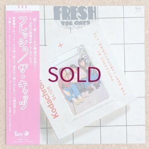 画像1: Cats - Fresh
