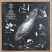 画像2: Eddie Henderson - Realization (2)