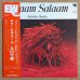画像1: Takehiro Honda - Salaam Salaam (1)