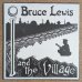 画像1: Bruce Lewis - I & The Village (1)