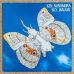 画像1: Ken Nunomura - Sky Walkin' (1)