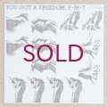 F.M.T - You Got A Freedom