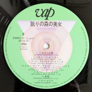 画像4: Tsuyoshi Yamamoto - La Belle Au Bois Dormant