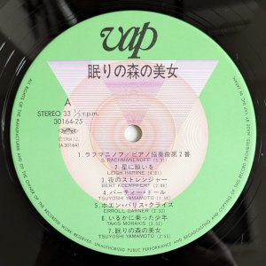 画像3: Tsuyoshi Yamamoto - La Belle Au Bois Dormant