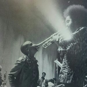 画像2: 『jazz』誌 - 23号