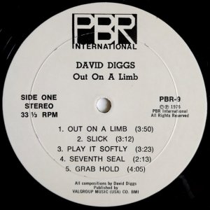 画像2: David Diggs - Out On A Limb