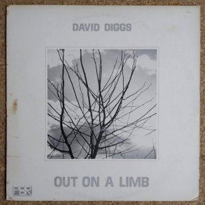 画像1: David Diggs - Out On A Limb