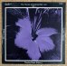 画像1: Human Arts Ensemble - The Human Arts Ensemble Live Vol.1 (1)