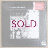 Ron English - Fish Feet