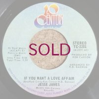 Jesse James - If You Want A Love Affair / I Never Meant To Love Her