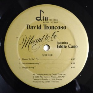 画像2: David Troncoso featuring Eddie Cano - Meant To Be