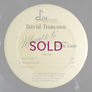 画像2: David Troncoso featuring Eddie Cano - Meant To Be